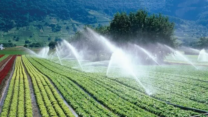 Система полива в сельском хозяйстве
